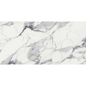 Керамогранит Rex Ceramiche Les Origines De Rex Argent Глазурованный Матовый 60x120