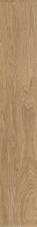 Керамогранит Ape Ceramica Tonality A038798 Nuances Natural Rect 20x120