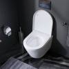 Подвесной унитаз AM.PM Sense C741701SC FlashClean с сиденьем микролифт фото 4