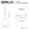 Подвесной светильник Citilux Nort CL475021 фото 11