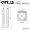 Ландшафтный светильник Citilux Genox CLU13B фото 13