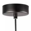 Подвесной светильник Lightstar Omega 727213 фото 3