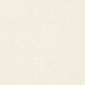 Обои Rasch Natural Colors 408249