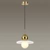 Подвесная светодиодная люстра Odeon Light Maro 5011/16L фото 2