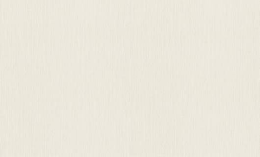 Обои Rasch Metal Spirit 977219