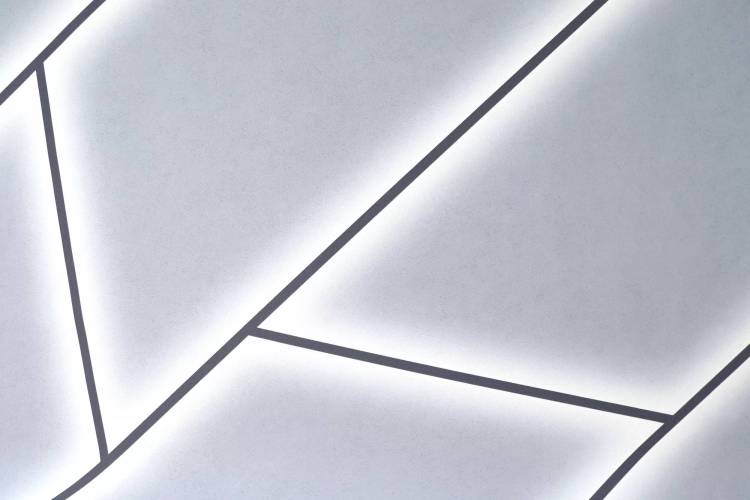 Обои Elysium Нильс Е204603