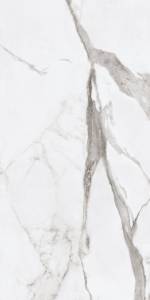 Керамогранит Ariana Epoque PF60004974 White Statuario Lap 60x120