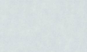 Обои флизелиновые Wall Up Dune 645279