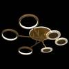 Потолочный светильник Loft IT Megan 10164S Gold фото 3