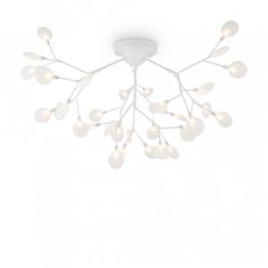 Потолочная люстра Freya Florencia FR5049CL-36W1