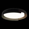 Потолочный светодиодный светильник Loft IT Coin 10198 Black фото 4