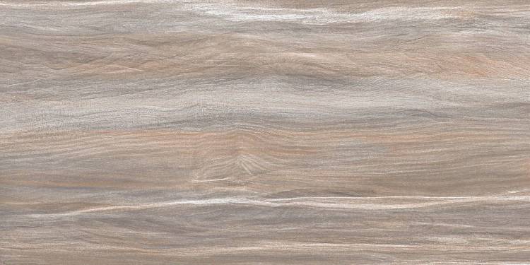 Керамическая плитка AltaCera Esprit WT9ESR21 Wood 25x50