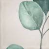 Декор Eletto Ceramica Mate Decor Greens 15x15