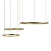 Подвесной светодиодный светильник Loft IT Ring 10017/3L фото 4