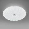 Настенно-потолочный светодиодный светильник Lightstar Arco Shell 225660 фото 4