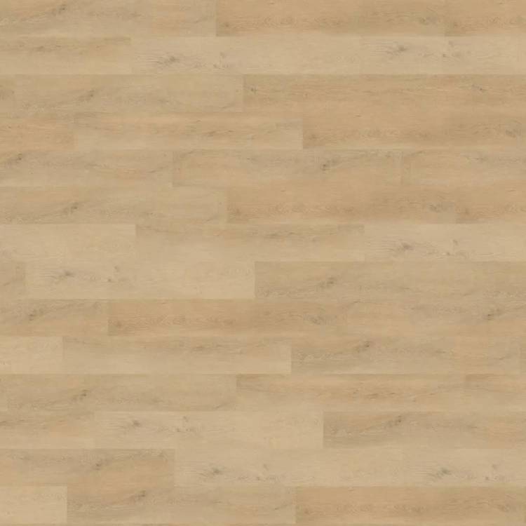 SPC Ламинат Wineo 400 Wood L 5.5/31 4V RLC281WL Дуб ровный бежевый 1220x180