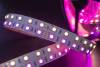 Светодиодная лента SWG 28,8W/m 120LED/m 5050SMD RGB/ теплый белый 5M 901044 фото 9