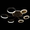 Потолочный светильник Loft IT Megan 10164S Black фото 3
