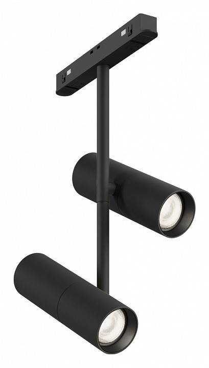 Трековый светильник Maytoni Technical Elti Duo TR005-2-2X12W4K-B