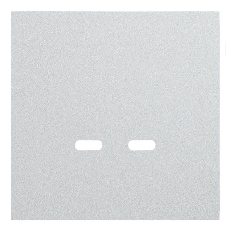 Лицевая панель для розетки USB C/C Rikett 35675 SV серебро
