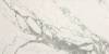 Керамическая плитка FAP Ceramiche Roma Stone fRF3 Carrara Superiore Matt (2 pcs) 80x160