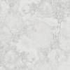 Керамогранит Arcadia Ceramica Seastone CR6013-A Bianco Carving 60x60 фото 5