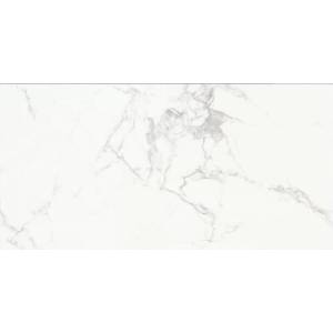 Керамогранит Absolut Gres Carrara AB 1112G Classic Gloss 60x120