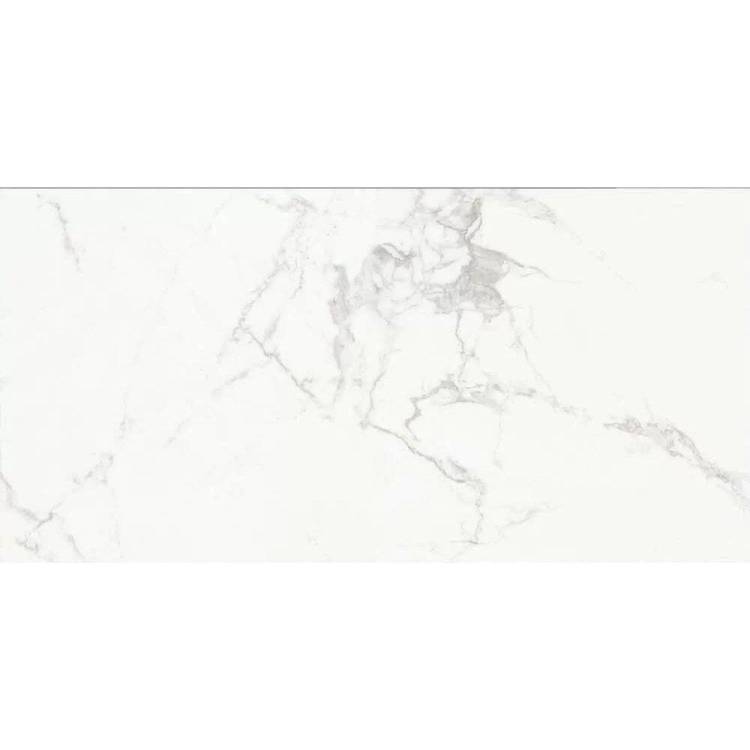Керамогранит Absolut Gres Carrara AB 1112G Classic Gloss 60x120