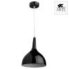 Подвесной светильник Arte Lamp Helmet A9077SP-1BK фото 2