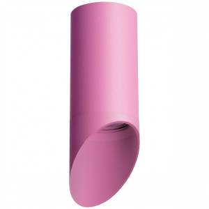 Потолочный светильник Lightstar Rullo R43232