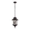 Уличный подвесной светильник Loft IT Prato 100021P