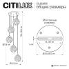 Подвесной хрустальный светильник Citilux Cloudy CL323052 фото 15