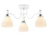 Потолочный светильник Ambrella light Traditional TR303302