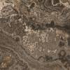 Керамогранит Grespania Izmir 36IZ20P Marron Pul. 119x119