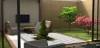 Ступень Seranit Riverstone Seravista Black Matt 32.5x120 фото 2