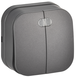 Выключатель 2-клавишный IEK Glory EVH21-K46M-10 сталь матовый