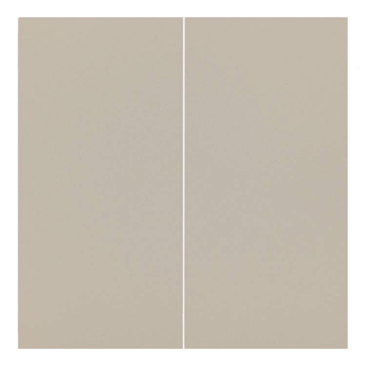 Клавиши двухклавишного выключателя Rikett 35611 LT латте