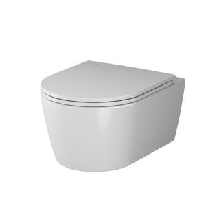 Унитаз подвесной AM.PM Func C8F1700SC 49 см FlashClean с сиденьем микролифт