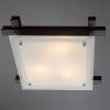 Потолочный светильник Arte Lamp 94 A6462PL-3CK фото 4