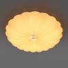 Настенно-потолочный светодиодный светильник Lightstar Arco II 225430 фото 2