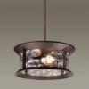 Уличный подвесной светильник Odeon Light Nature Mavret 4961/2 фото 3