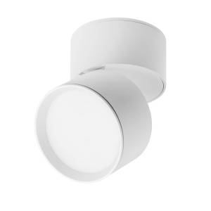 Светильник светодиодный Lightstar Acuto 215836