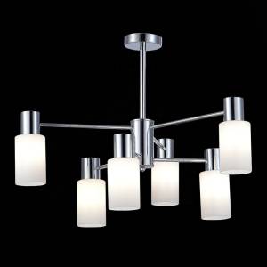 Светильник потолочный Evoluce Gessi SLE1139-102-06