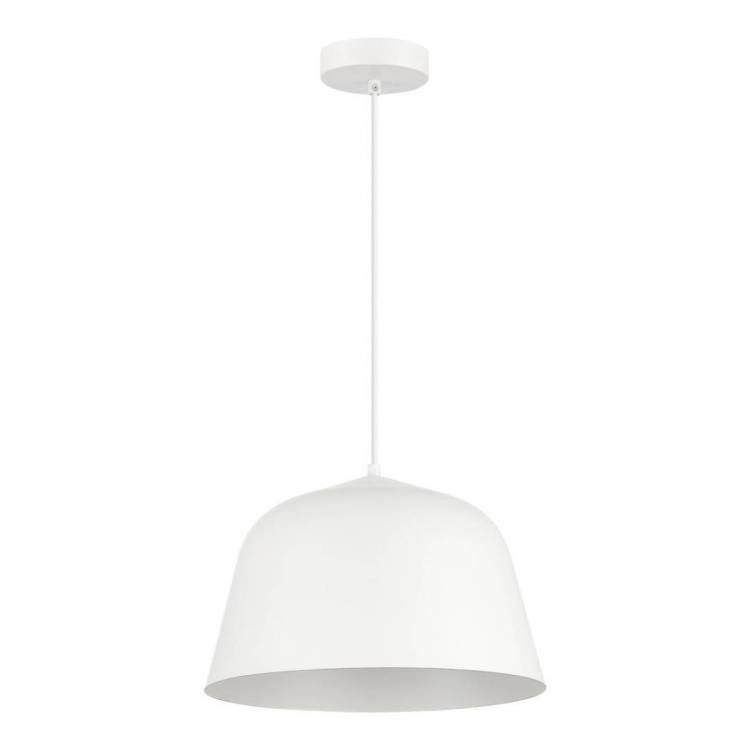 Подвесной светильник Evoluce Blank Sle1805-503-01