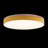 Потолочный светодиодный светильник Loft IT Axel 10001/36 yellow фото 3