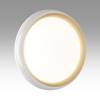 Настенно-потолочный светодиодный светильник Sonex Tofiq White 7650/DLN фото 5
