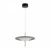 Подвесной светодиодный светильник Odeon Light Steka 5012/16L