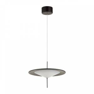 Подвесной светодиодный светильник Odeon Light Steka 5012/16L