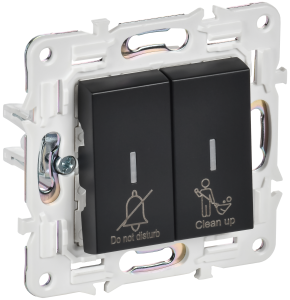 Выключатель 2-клавишный IEK Skandy SK-V20-2-10-K02 черный