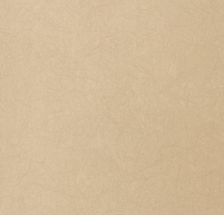 Обои флизелиновые Bernardo Bartalucci Legend 5068-80